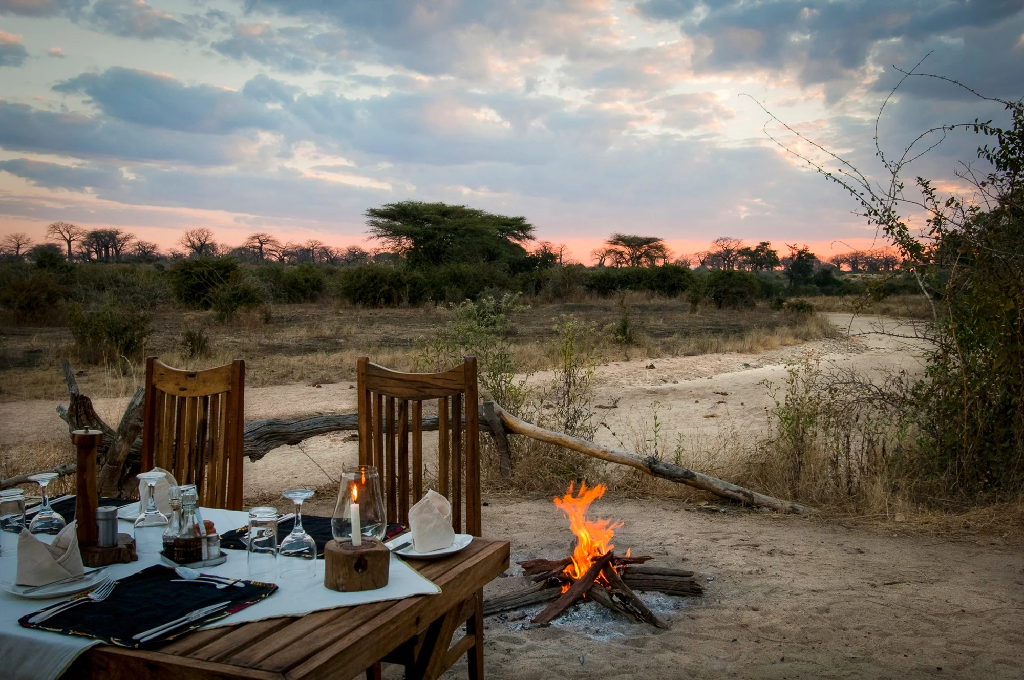 Kigelia Ruaha — Mikumi Fly Camp — image 3