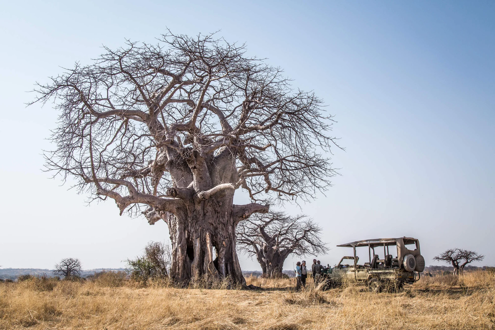 Kigelia Ruaha by Nomad — Ruaha National Park