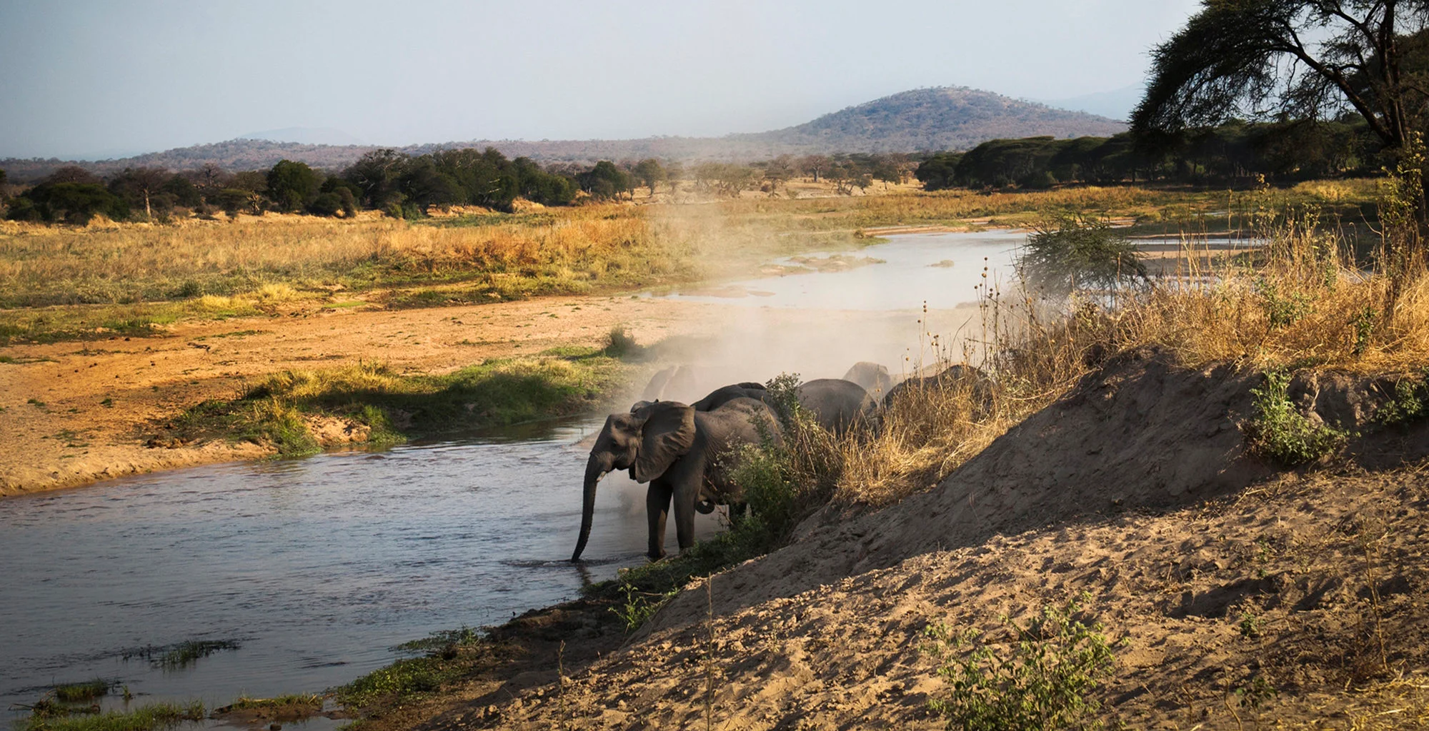 Kigelia Ruaha by Nomad — image 2