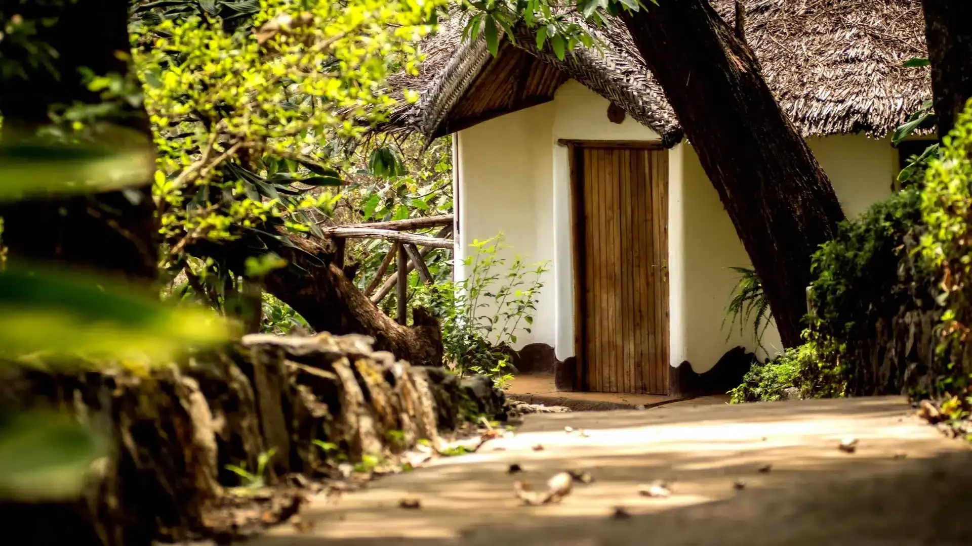 Kigongoni Lodge — image 3