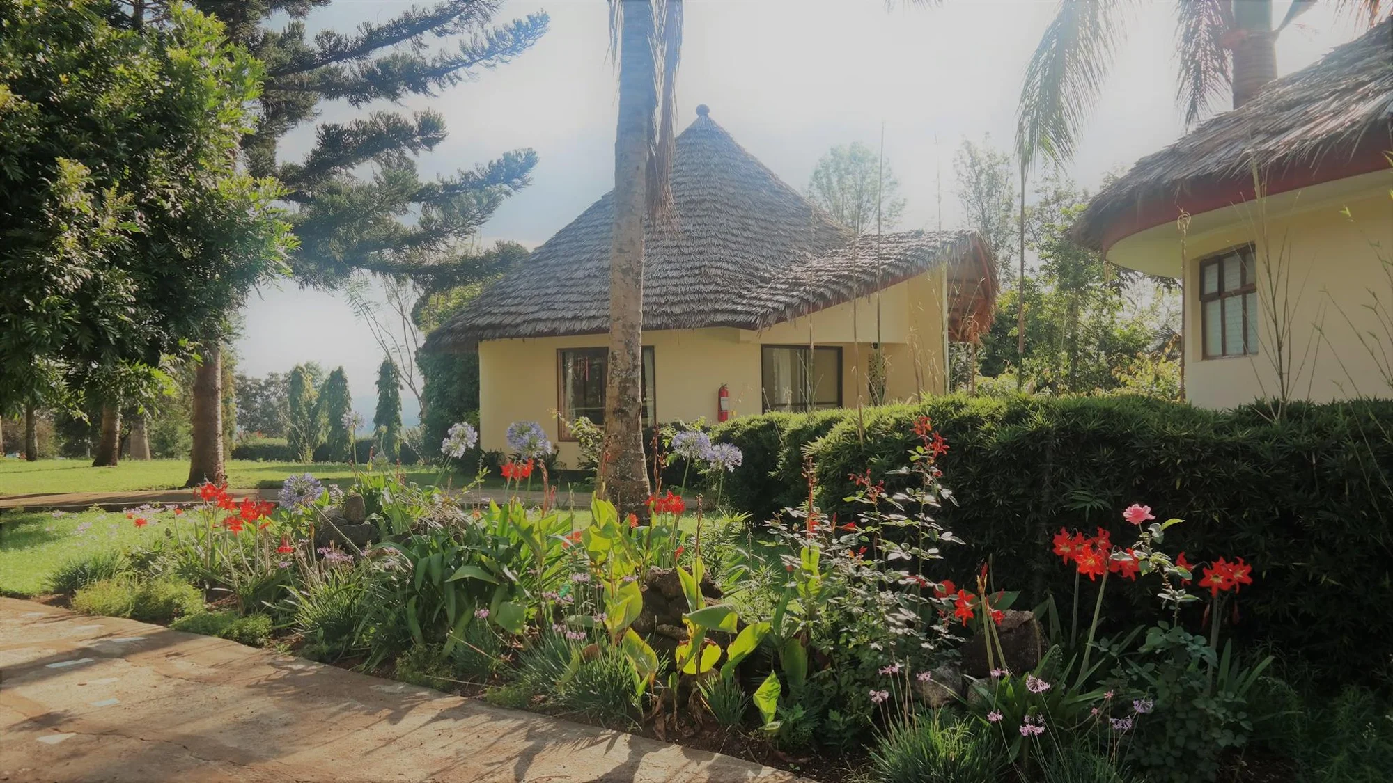Kilemakyaro Mountain Lodge — image 3