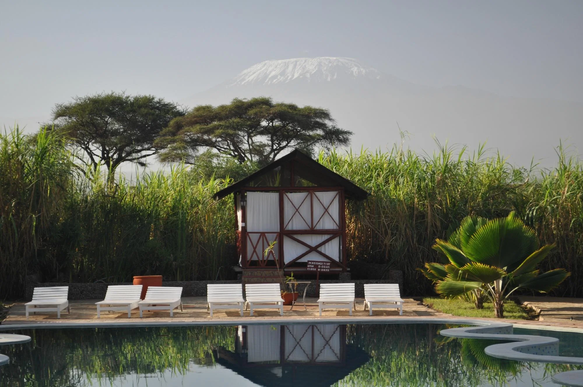 Kilima Safari Camp — image 2