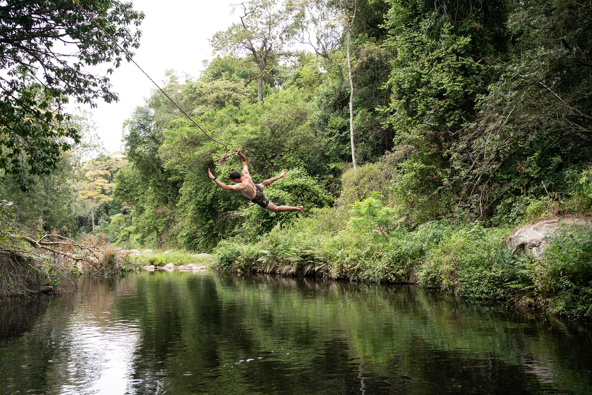 Kitich Forest Camp — image 3