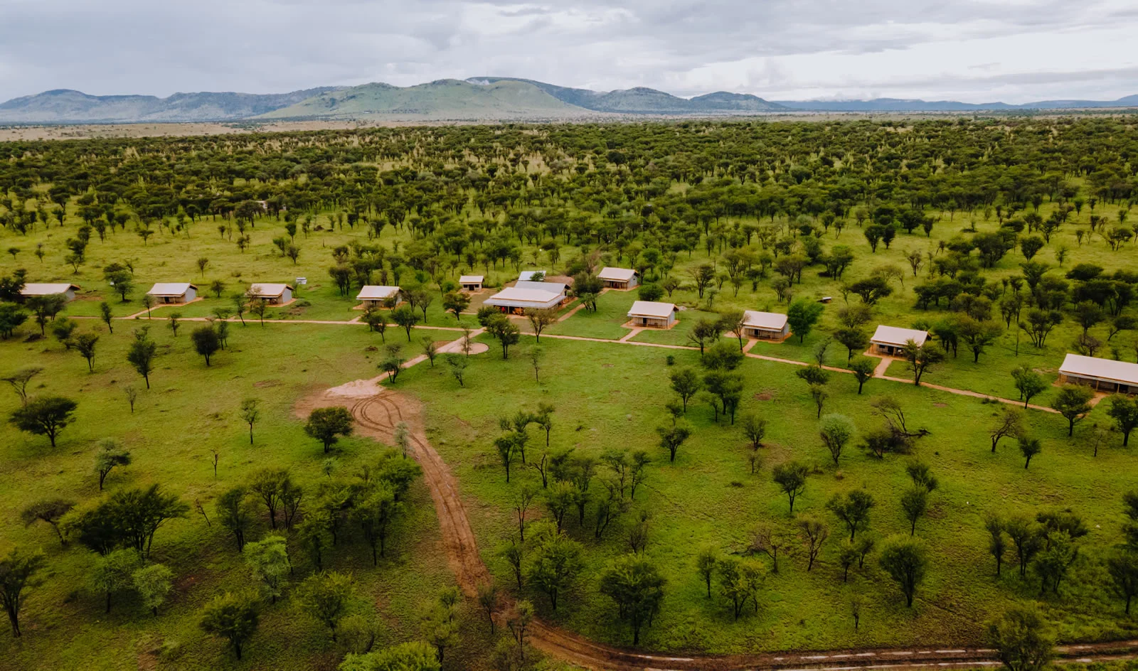 Kon Tiki Ndutu Migration Camp — image 2