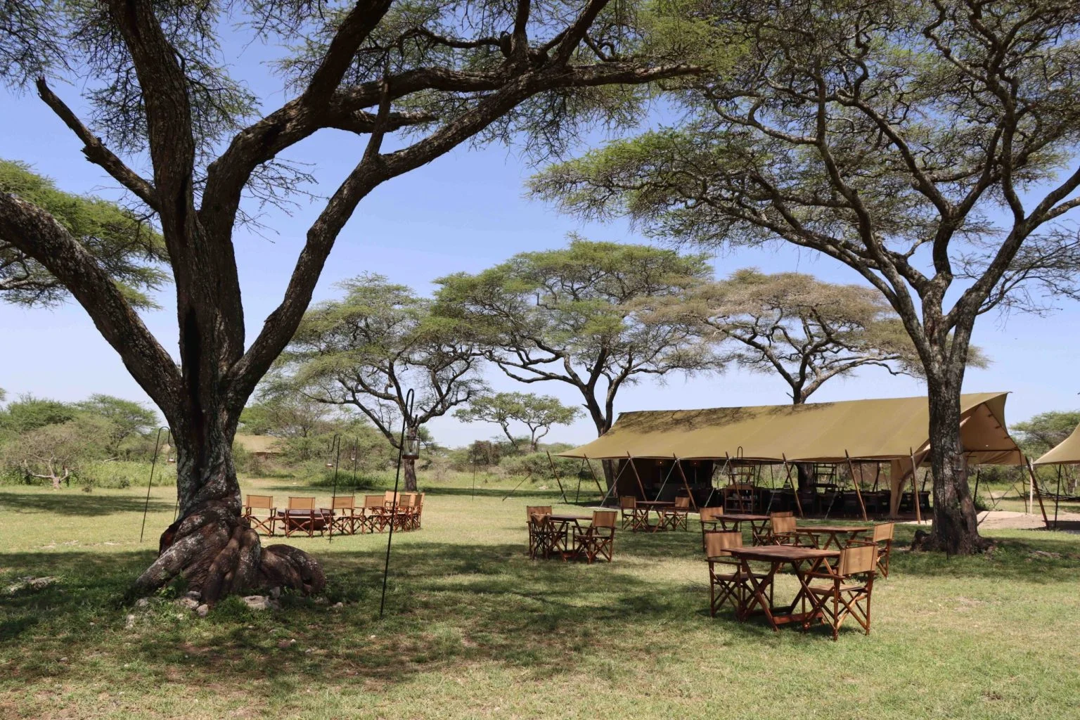 Kon Tiki Ndutu Migration Camp — image 4