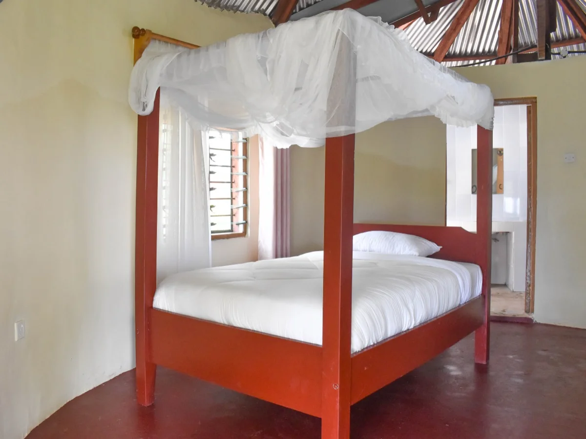 KWS Sable Bandas — Shimba Hills — image 3