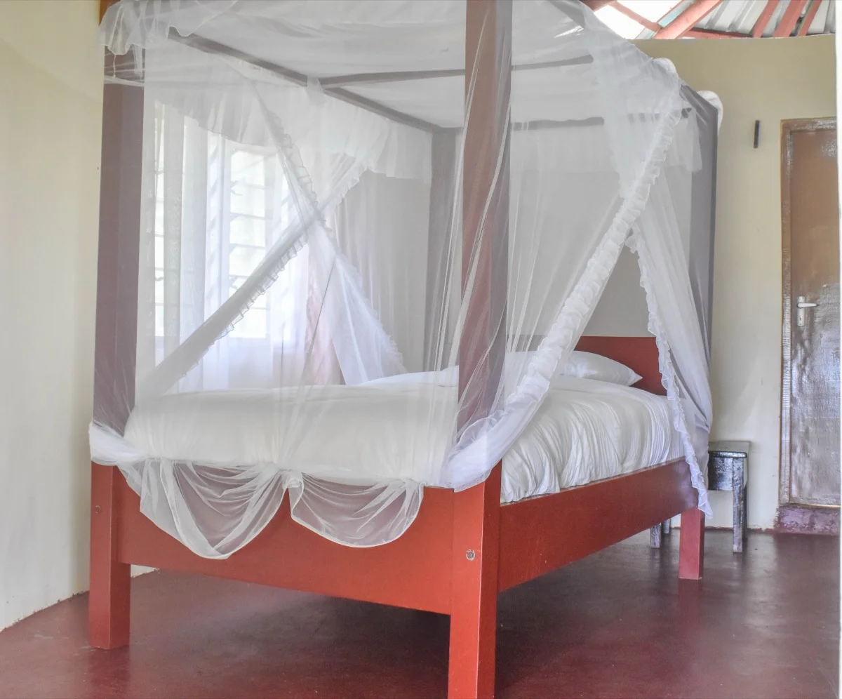 KWS Sable Bandas — Shimba Hills — image 4