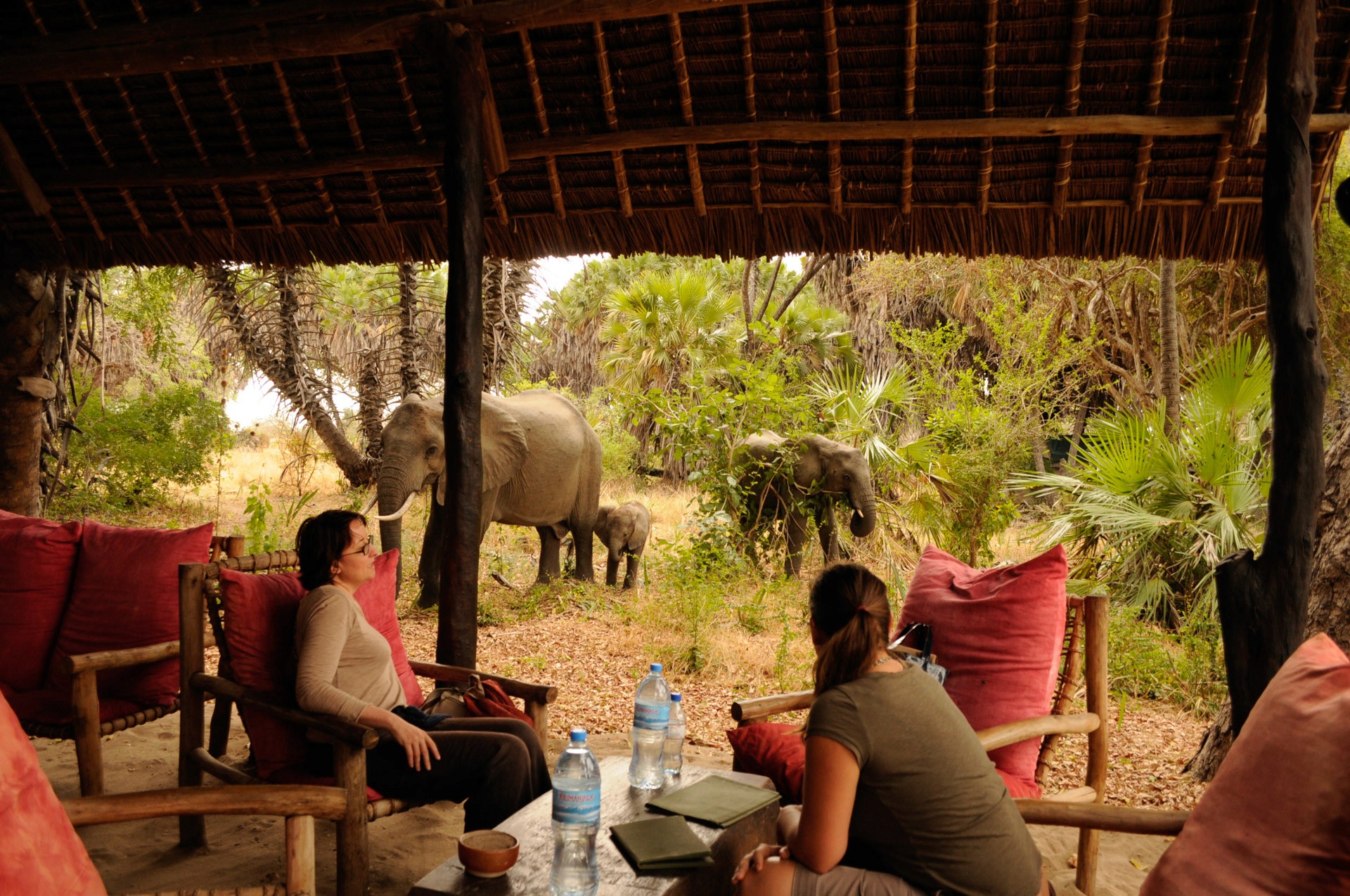 Lake Manze Camp — image 2