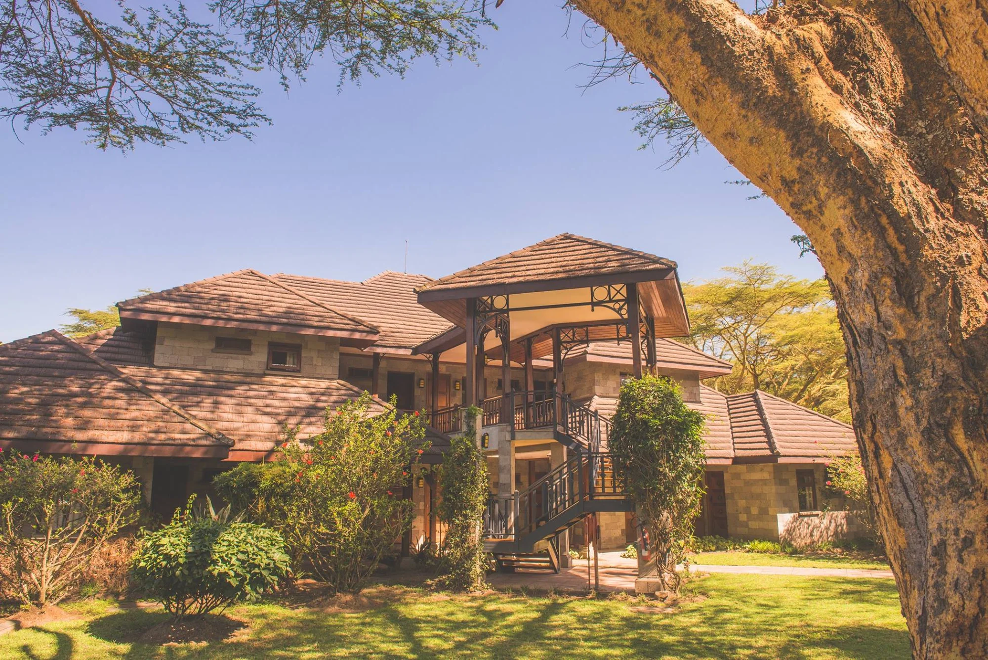 Lake Naivasha Simba Lodge — Lake Naivasha