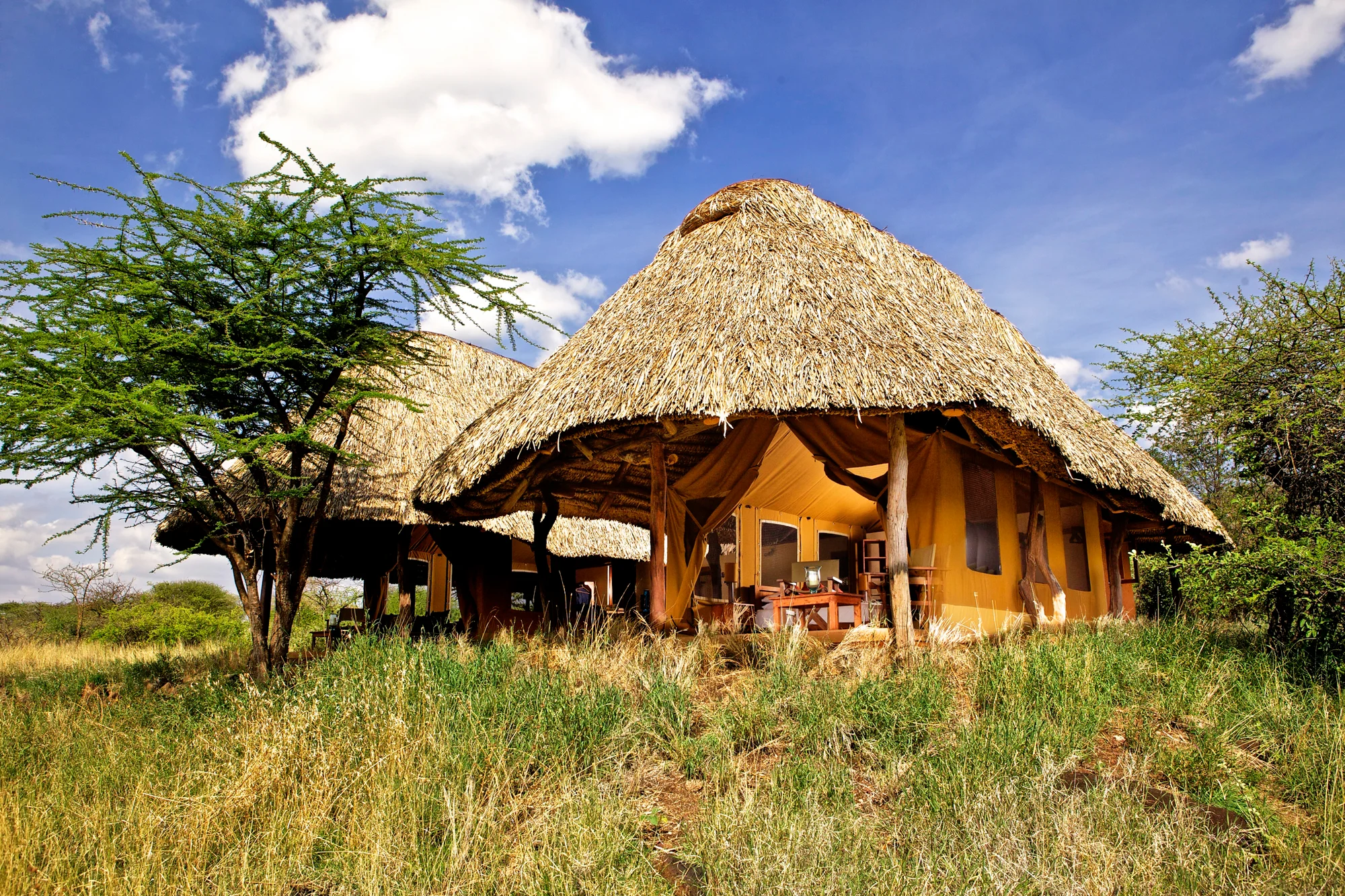 Lewa Safari Camp