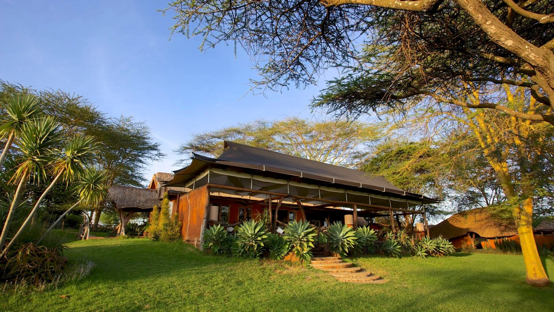Lewa Safari Camp — image 2