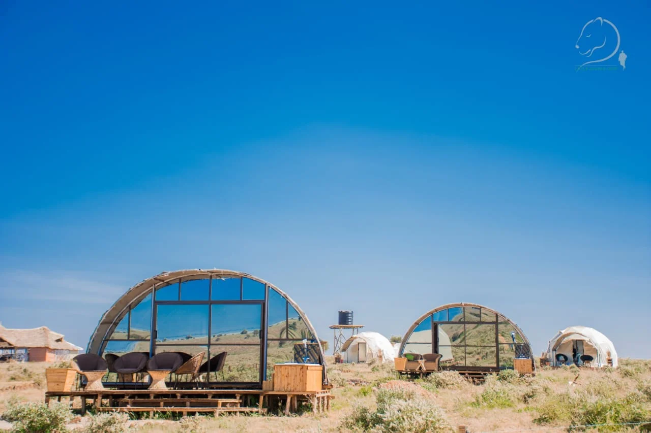Little Amanya Camp — image 2