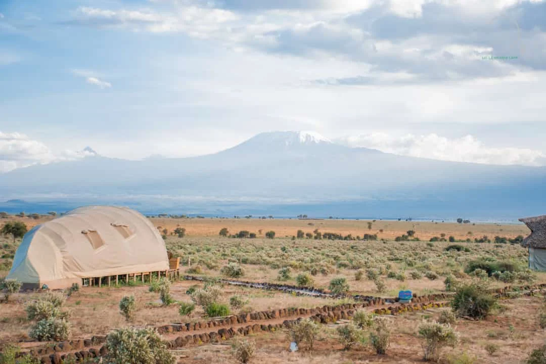 Little Amanya Camp — image 4