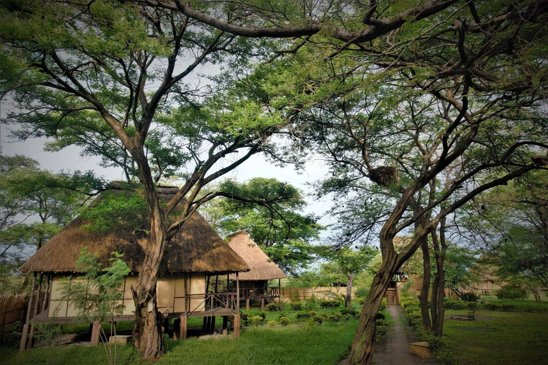 Little Okavango Camp — image 2