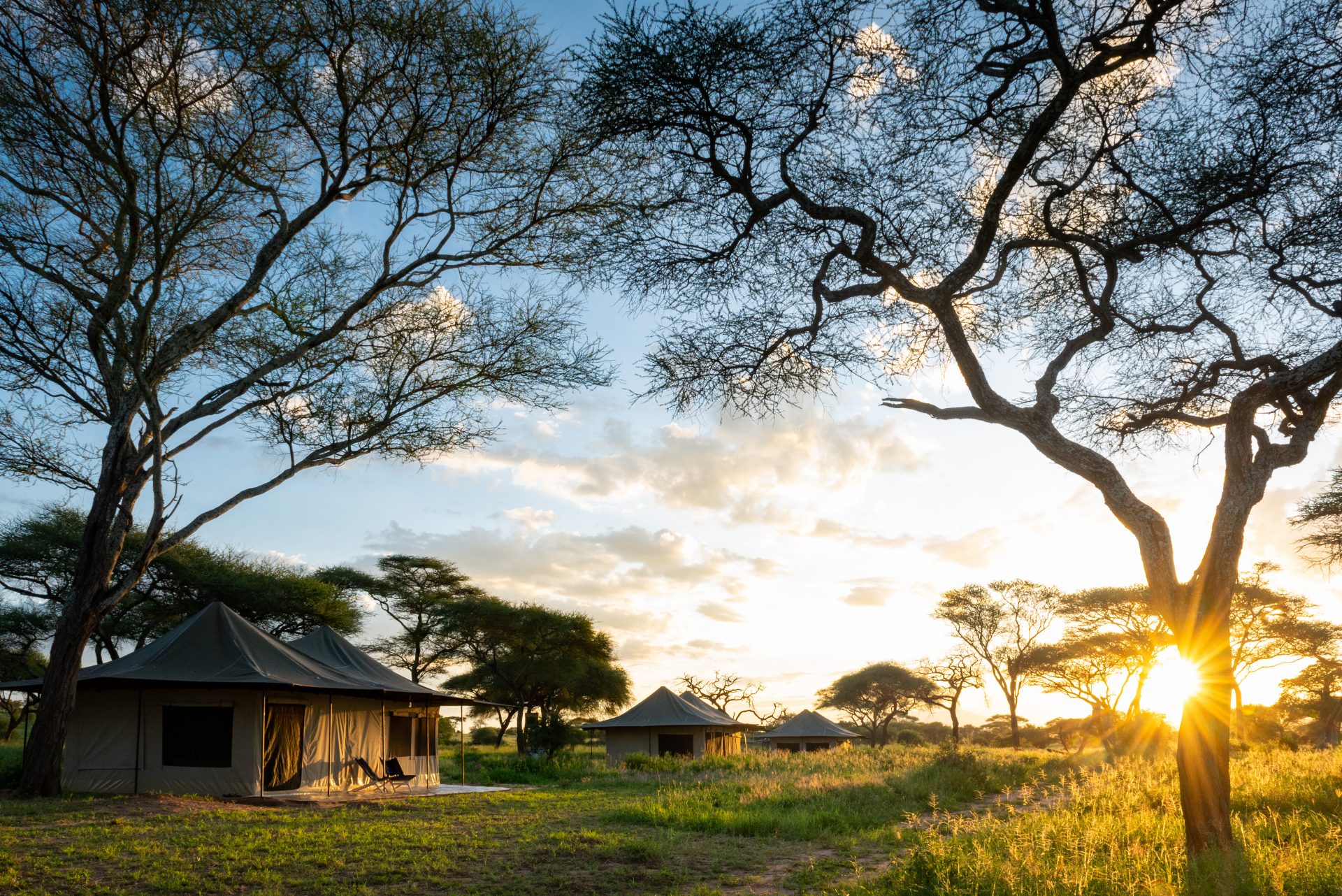 Lolkisale Bush Camp — Tarangire National Park