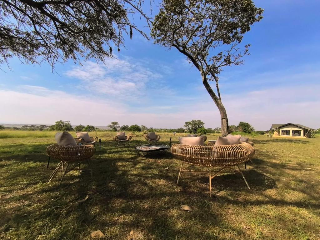 Malaika Mara Luxury Camp — image 2