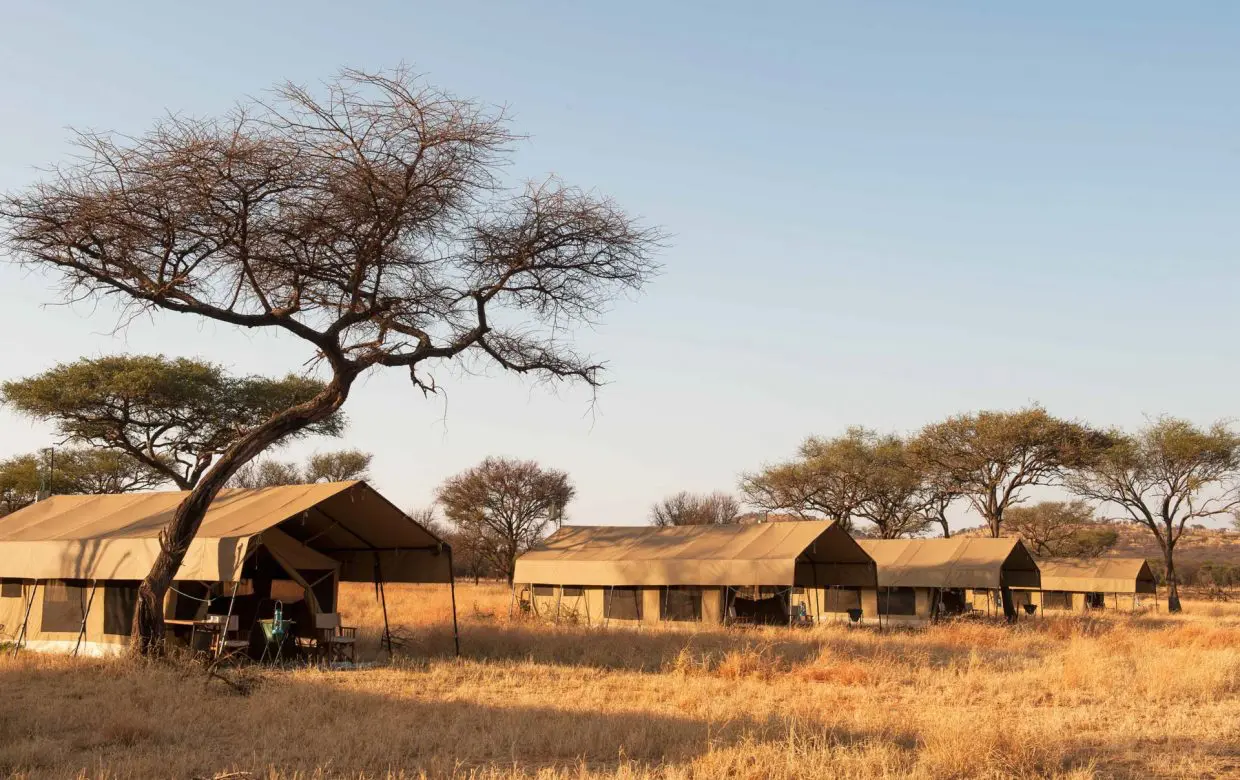 Mara Kati Kati Tented Camp — image 2