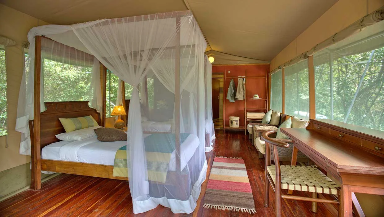 Mara Leisure Camp — image 4