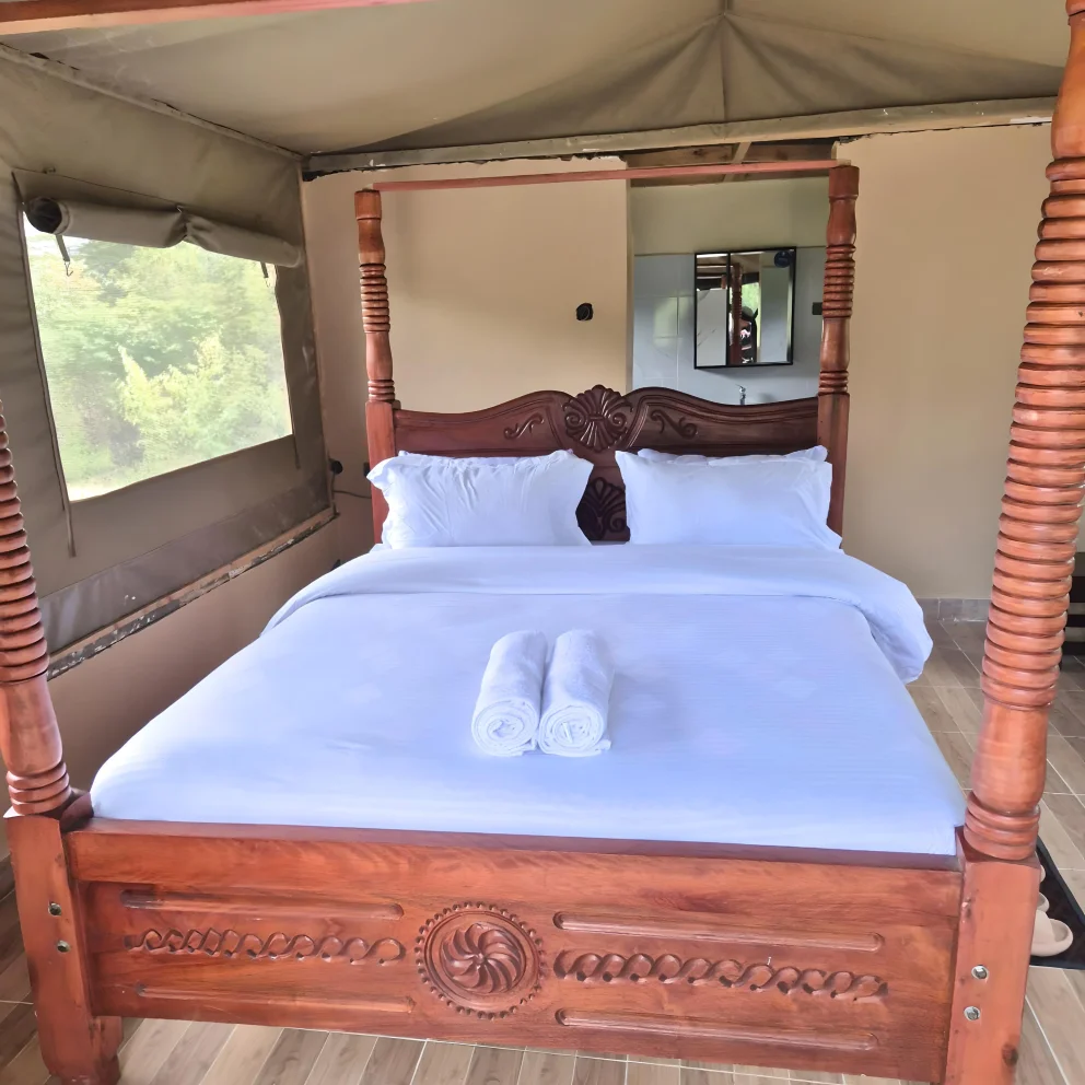 Mara Ntulele Camp — image 2