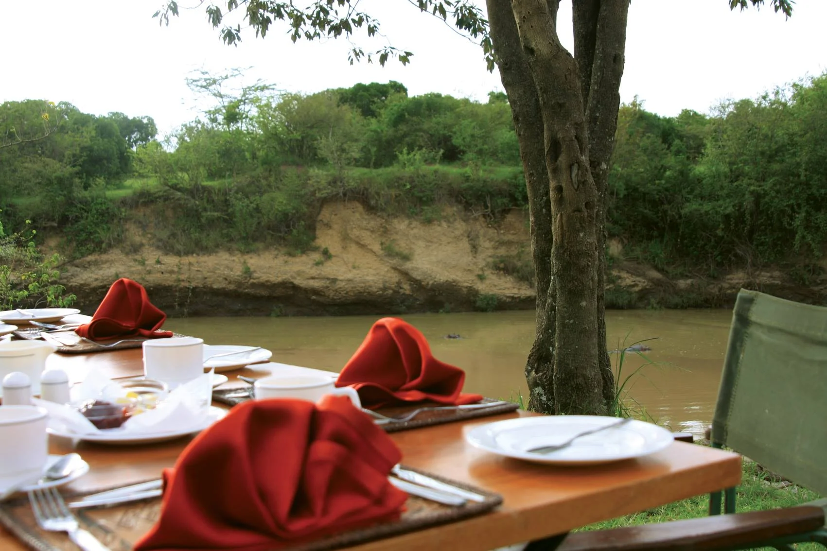 Mara Simba Lodge — image 2