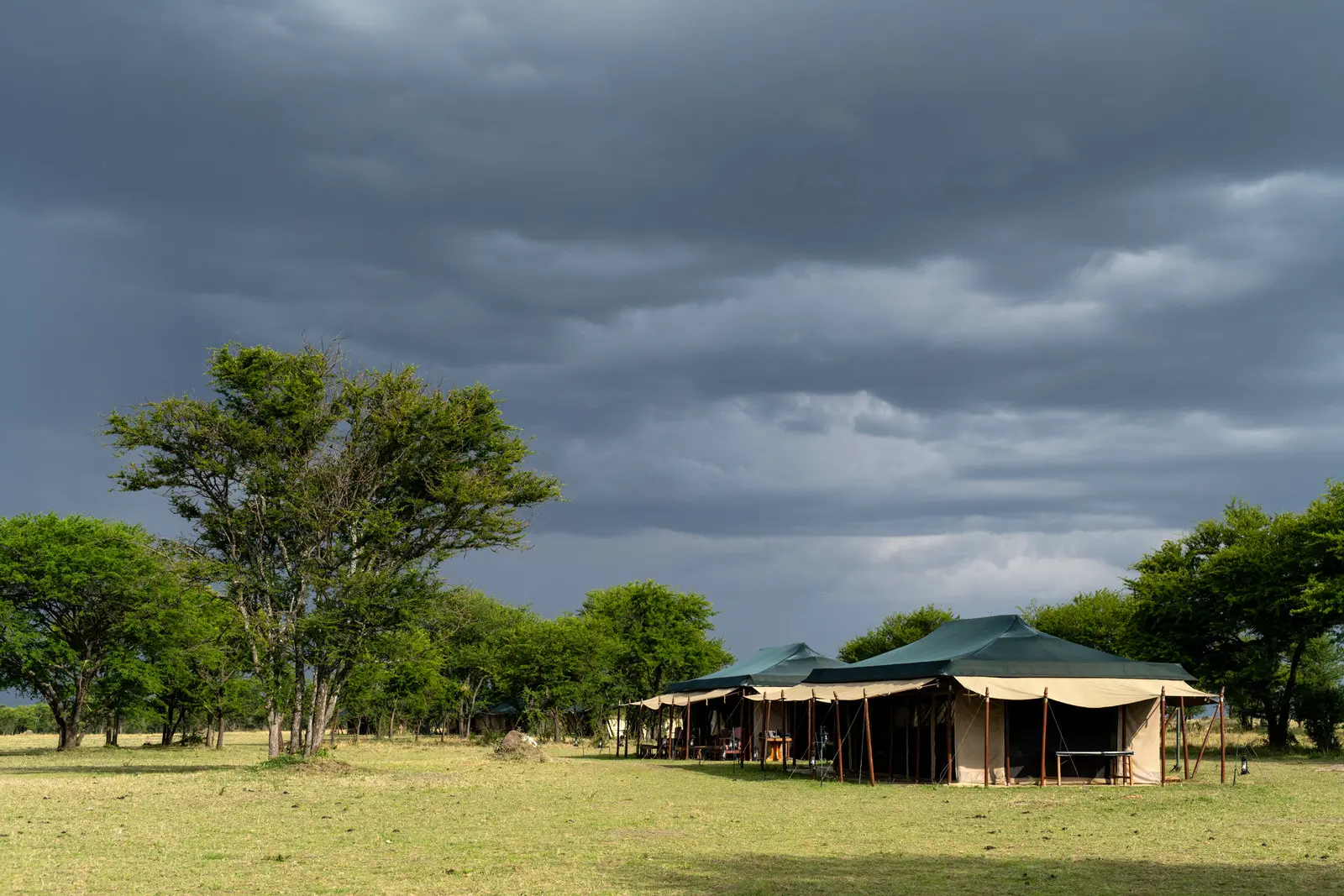 Mara Under Canvas