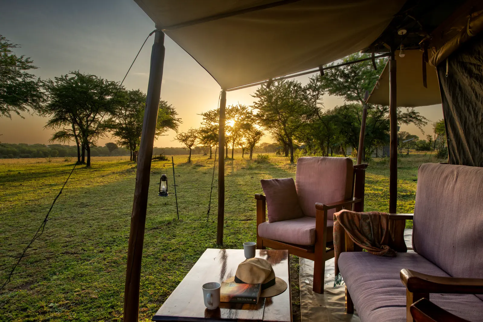 Mara Under Canvas — image 2