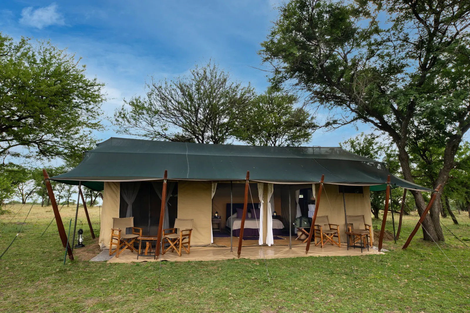 Mara Under Canvas — image 3