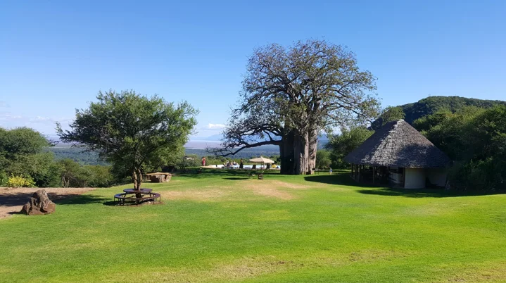 Migombani Campsite — image 2