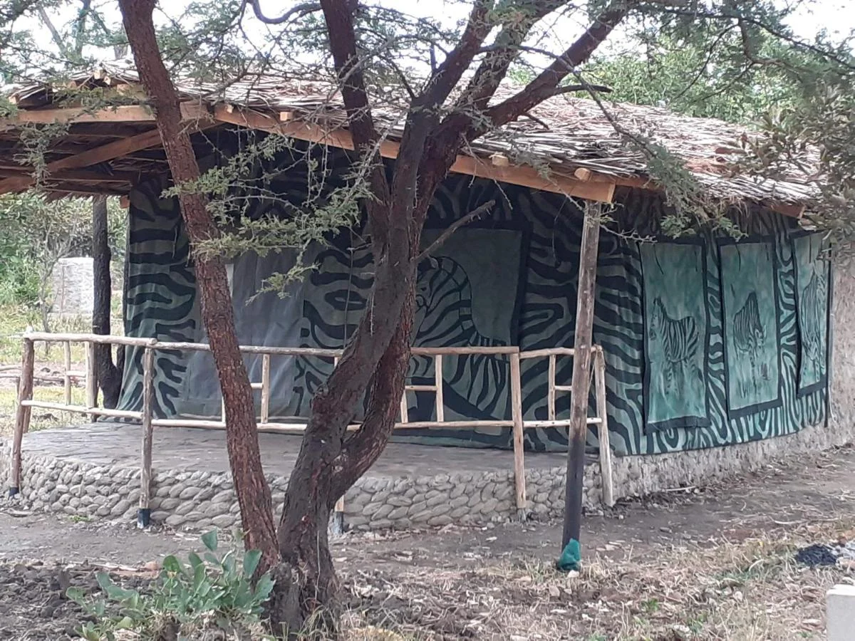 Mikumi Wildlife Camp — image 2