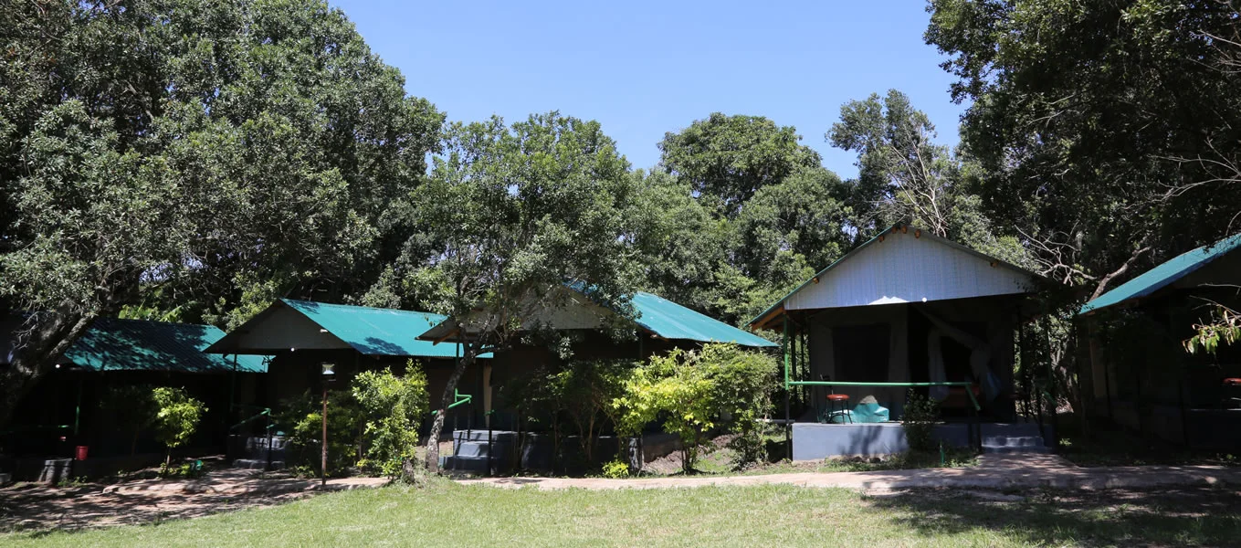 Miti Mingi Eco Camp