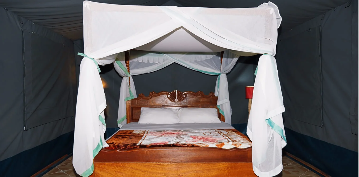 Miti Mingi Eco Camp — image 2