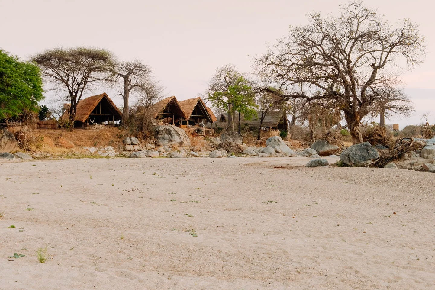 Mwagusi Safari Camp — Ruaha National Park