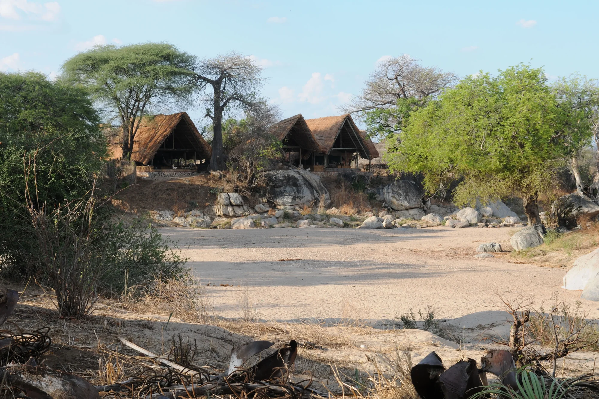 Mwagusi Safari Camp — image 3