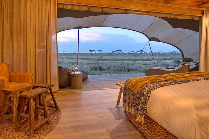 Namiri Plains by Asilia — image 3