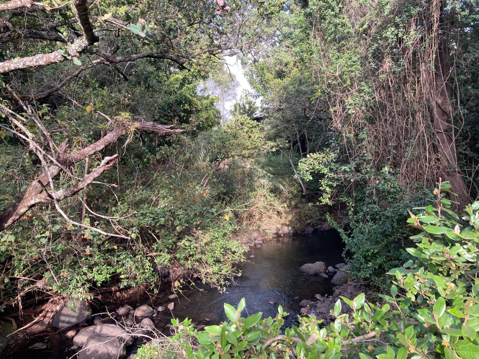 Naro Moru River Lodge — image 4