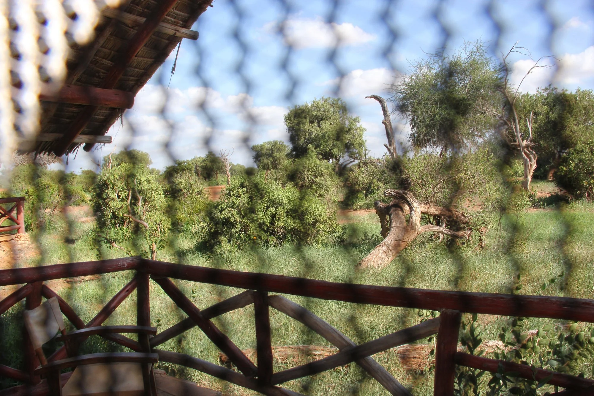 Ndololo Camp — image 3