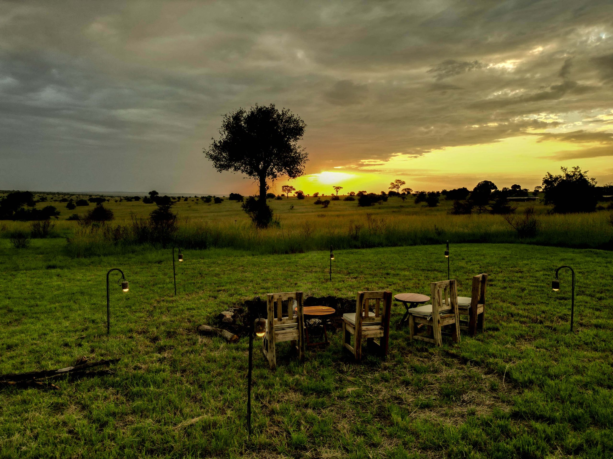 Ndutu Pure Migration Tented Camp — image 2