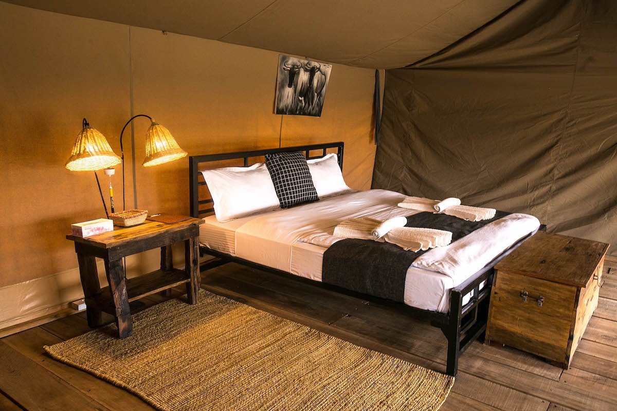 Ndutu Pure Migration Tented Camp — image 4