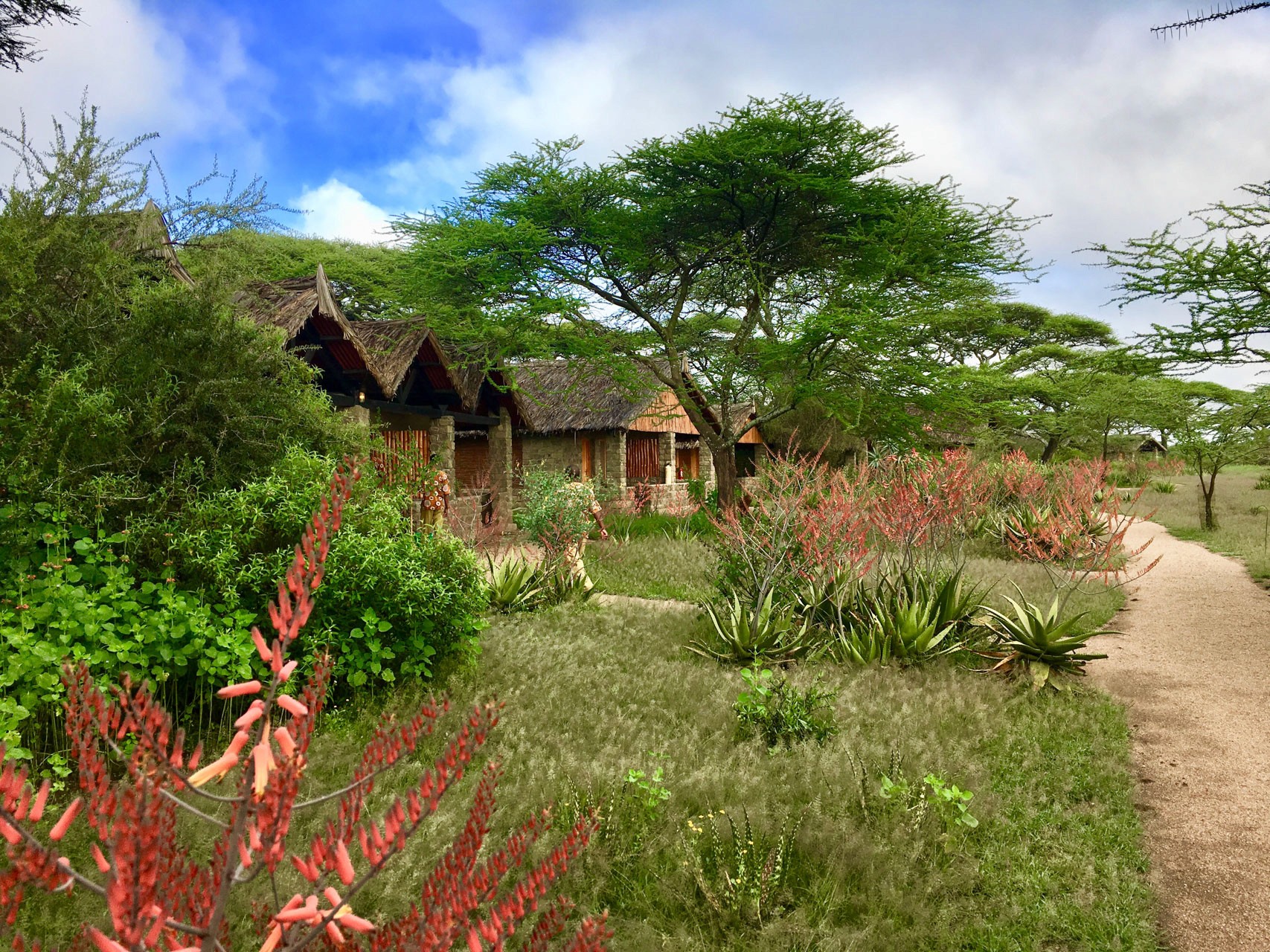 Ndutu Safari Lodge