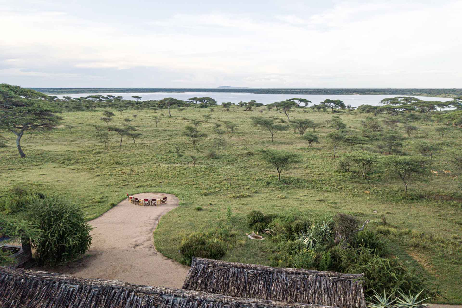 Ndutu Safari Lodge — image 2