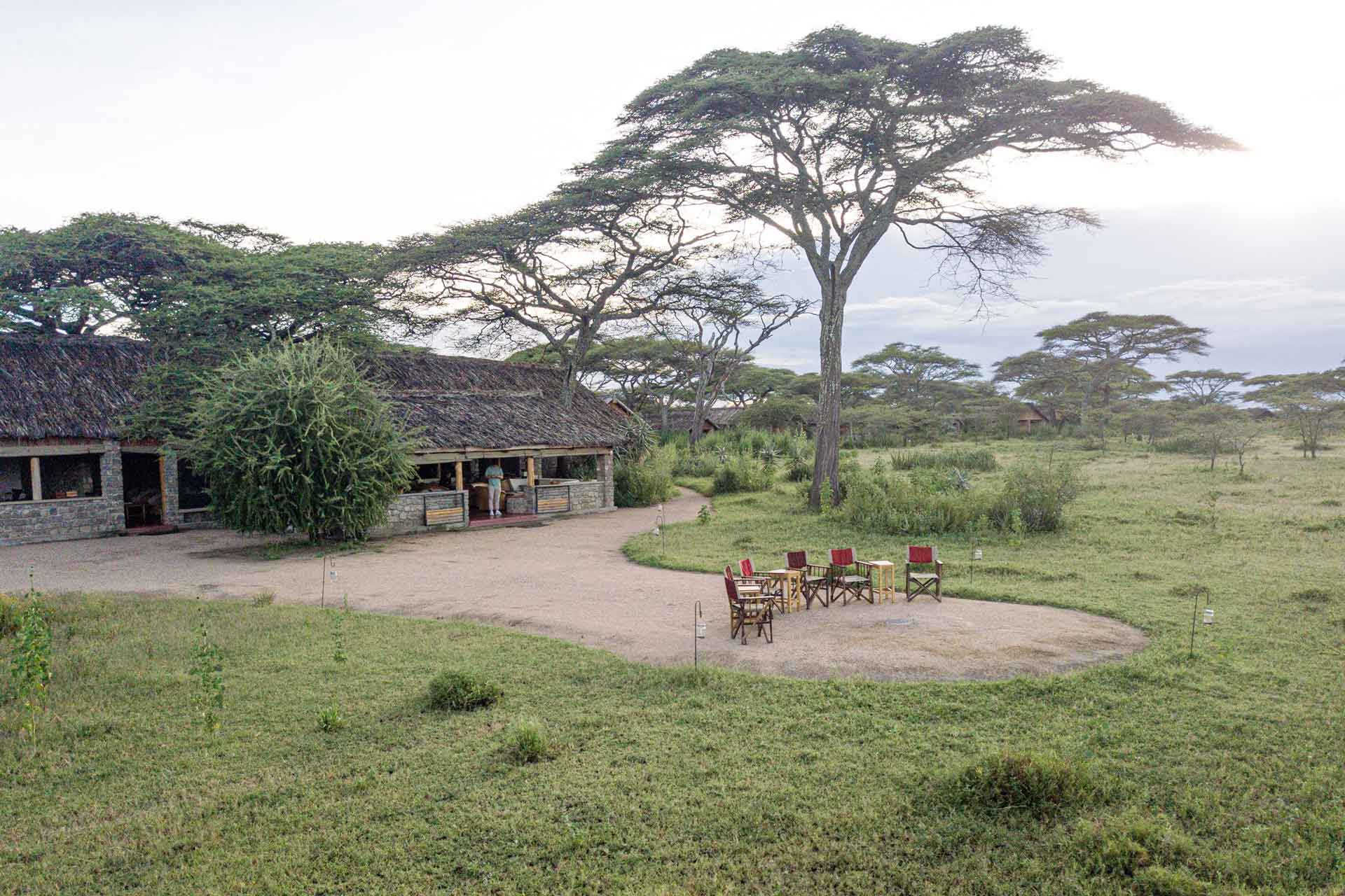 Ndutu Safari Lodge — image 3