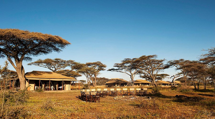 Ndutu Under Canvas — image 2