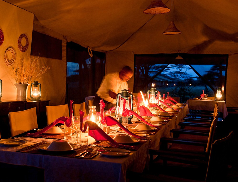 Ndutu Under Canvas — image 4