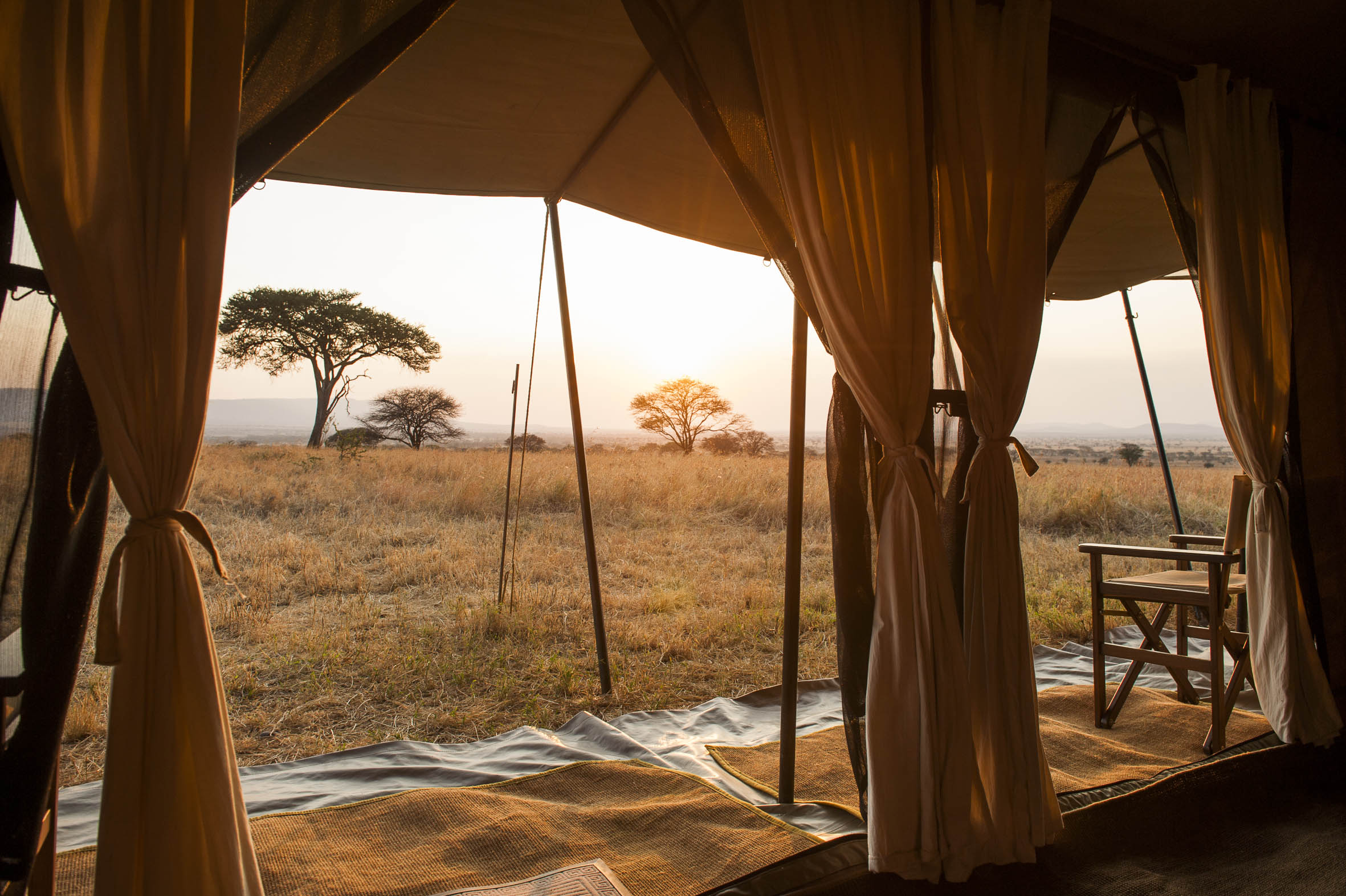 Ndutu Under Canvas