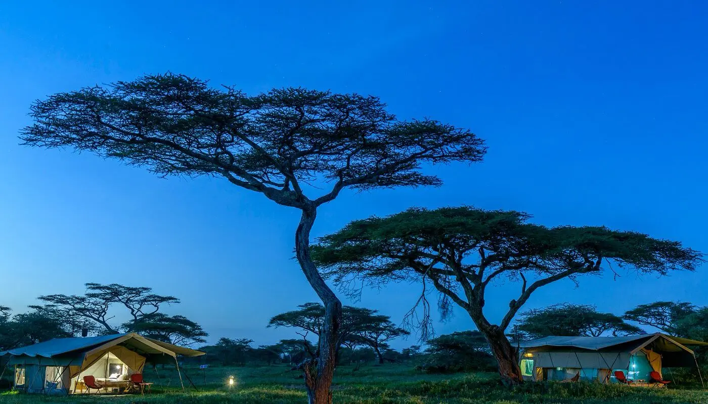Ndutu Wilderness Camp — image 3