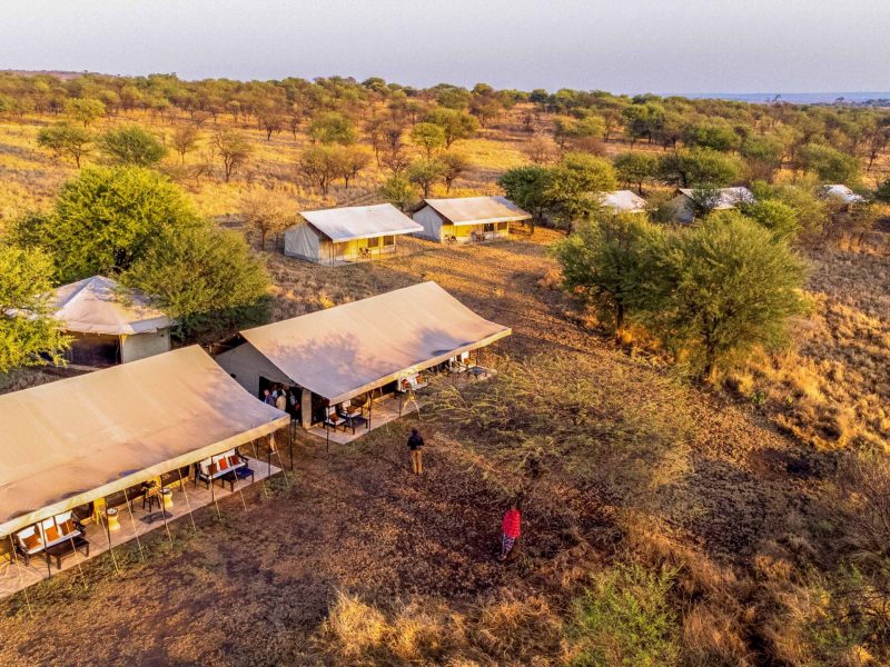 Ndutu Wildlands Camp — image 2
