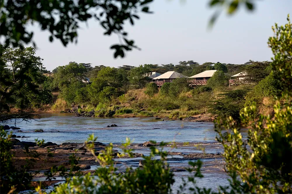 Neptune Serengeti Luxury Camp — image 3