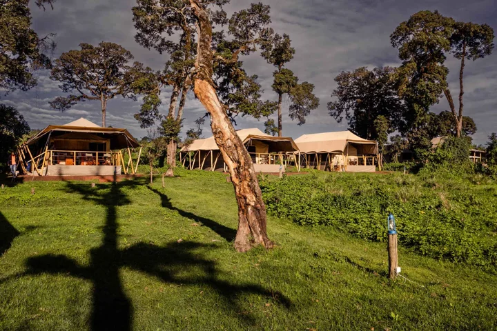 Ngorongoro Ang'ata Camp — Ngorongoro Conservation Area