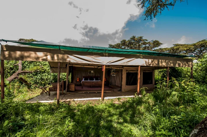 Ngorongoro Ang'ata Camp — image 3