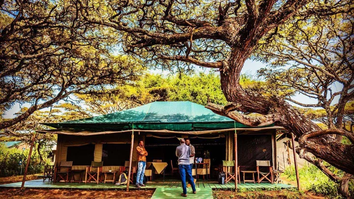 Ngorongoro Ang'ata Camp — image 4